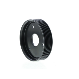 Poulie pompe de direction assistee Renault Megane 1 Scenic 1 Essence 3RG10604