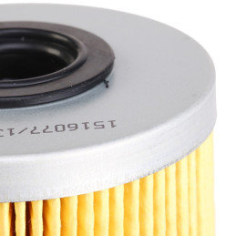 Filtre à carburant, cartouche filtrante pour Dacia Solenza Opel Arena Renault Clio 2 Kangoo Megane