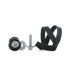 Kit distribution Renault Clio 2 Megane Scenic 2 Kangoo Modus Twingo Dacia 1.5 DCI KD455.49