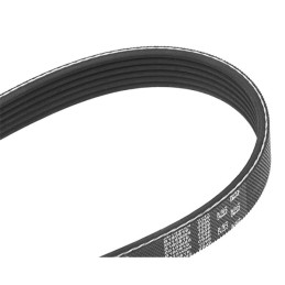 Courroie accessoire a nervure 6pk975 6PK975