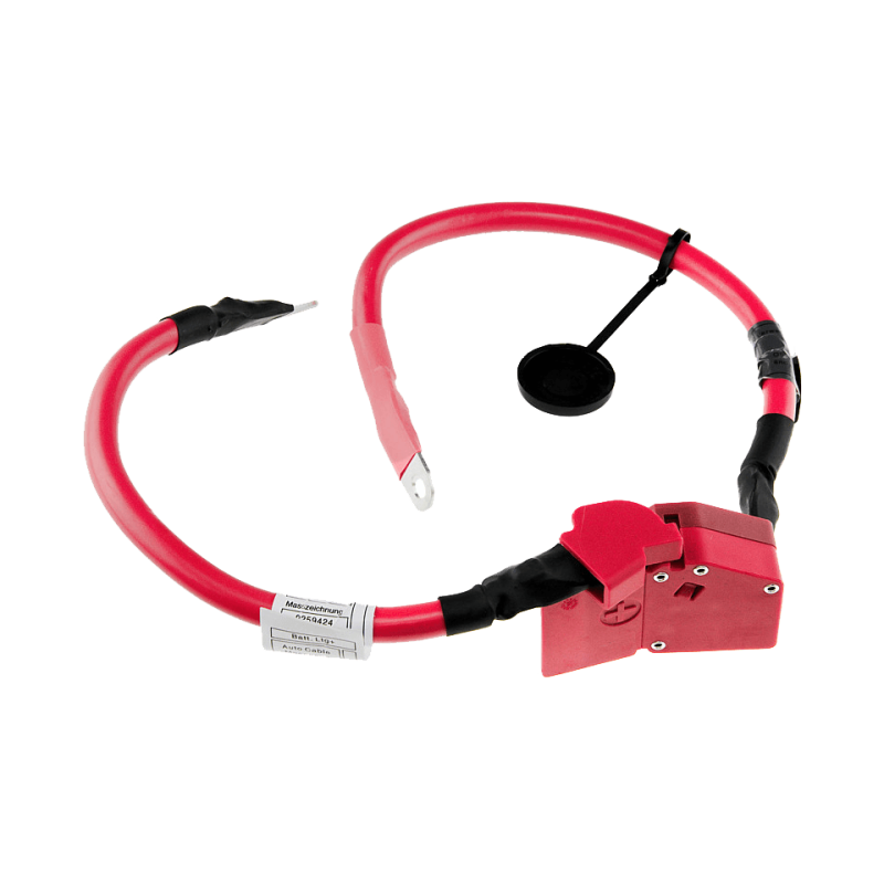 Adaptateur de batterie,cable de batterie pour BMW série 3 (F30/F31/F34/F80), série 4(F32/F33/F36/F82/F83) EBP-BM-000 Adaptateur de batterie,cable de batterie pour BMW série 3 (F30/F31/F34/F80), série 4(F32/F33/F36/F82/F83) EBP-BM-000