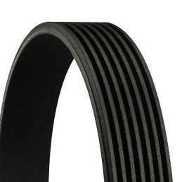 Courroie accessoire à nervure 7pk1035 7PK1035