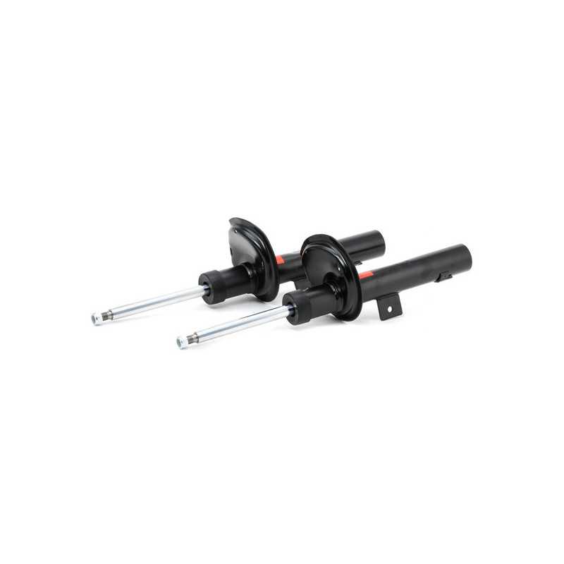 Kit de 2 amortisseurs pour PEUGEOT 206, 306