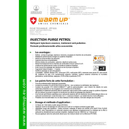Nettoyant purge du système d injection essence IPP1000