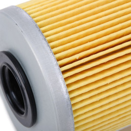 Filtre a gasoil Espace 4 Megane 2 Master Trafic 2 Dci