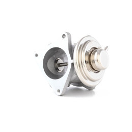 Vanne Egr pour Audi Seat et Volkswagen 1.9l et 2l Tdi