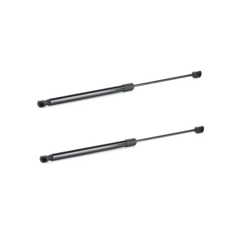 Lot de 2 vérins de coffre, de hayon pour NISSAN Qashqai II - 530mm AE-NS-014*2