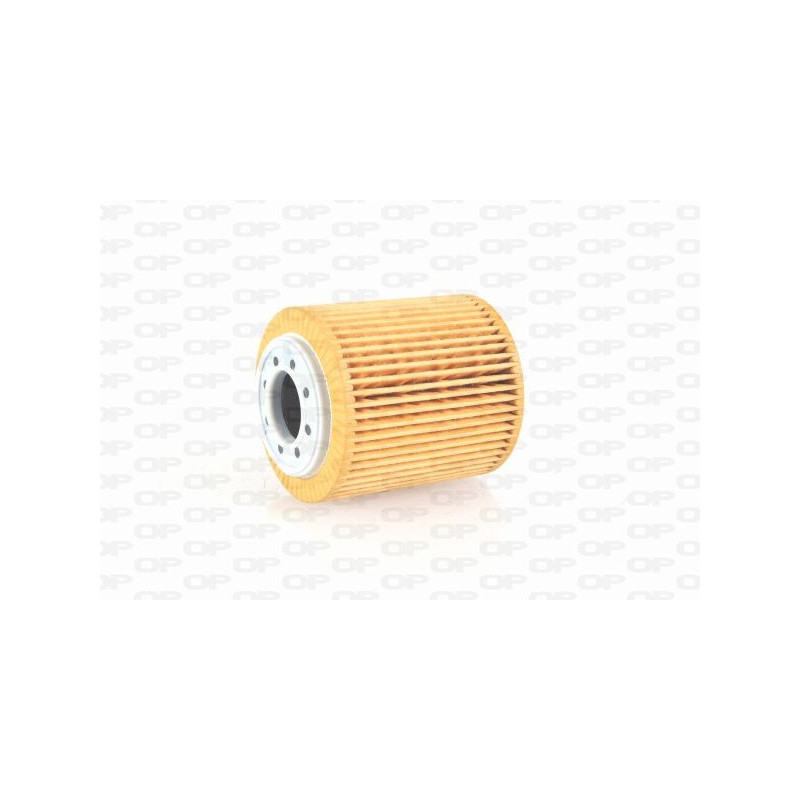 Filtre à huile OPEN PARTS EOF4252.10