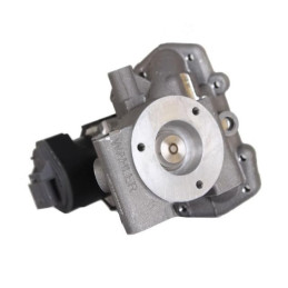 710965D Wahler 710391 Vanne Egr...