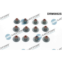 Valve Steam Seal Set DRM0892S