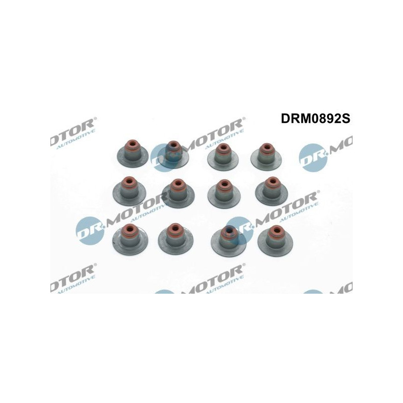 Valve Steam Seal Set DRM0892S
