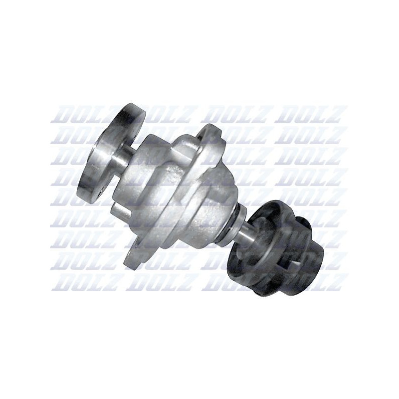 POMPE A EAU DOLZ F203