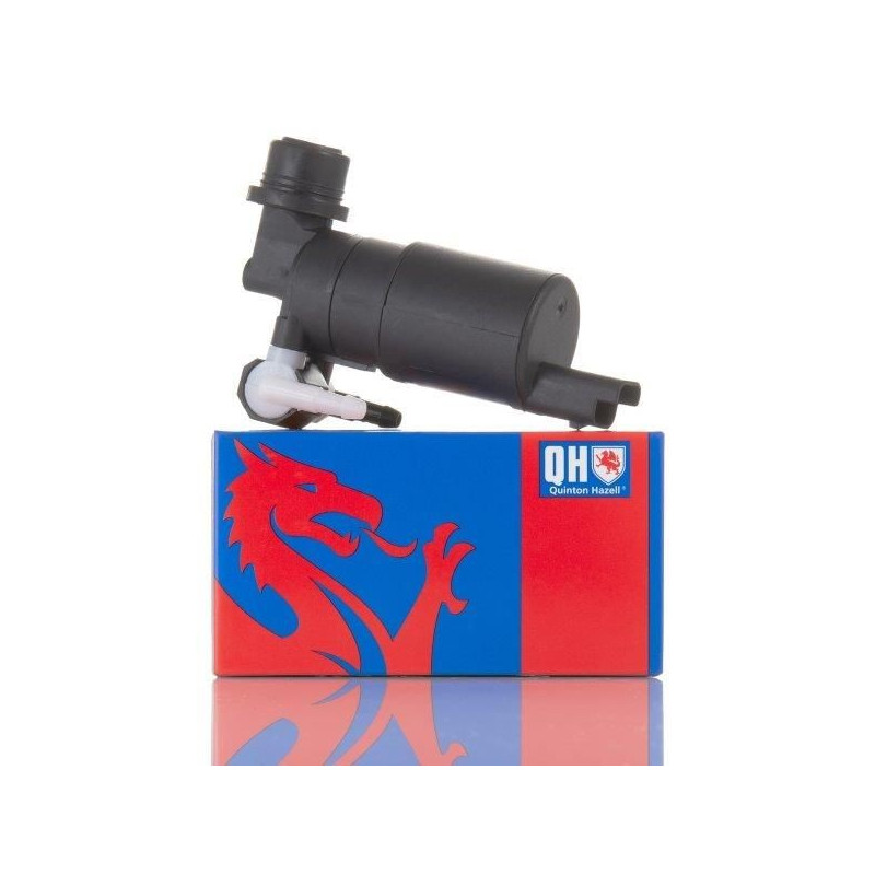 Pompe de Lave Glace QWP036