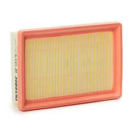 FILTRE A AIR FILTRON AP 133/9