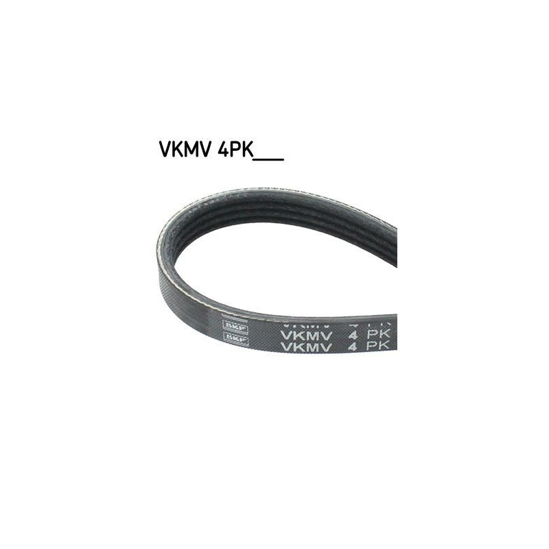 Courroie d'accessoire SKF