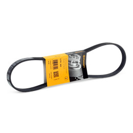 Courroie trapézoïdale à nervures CONTITECH 5PK900
