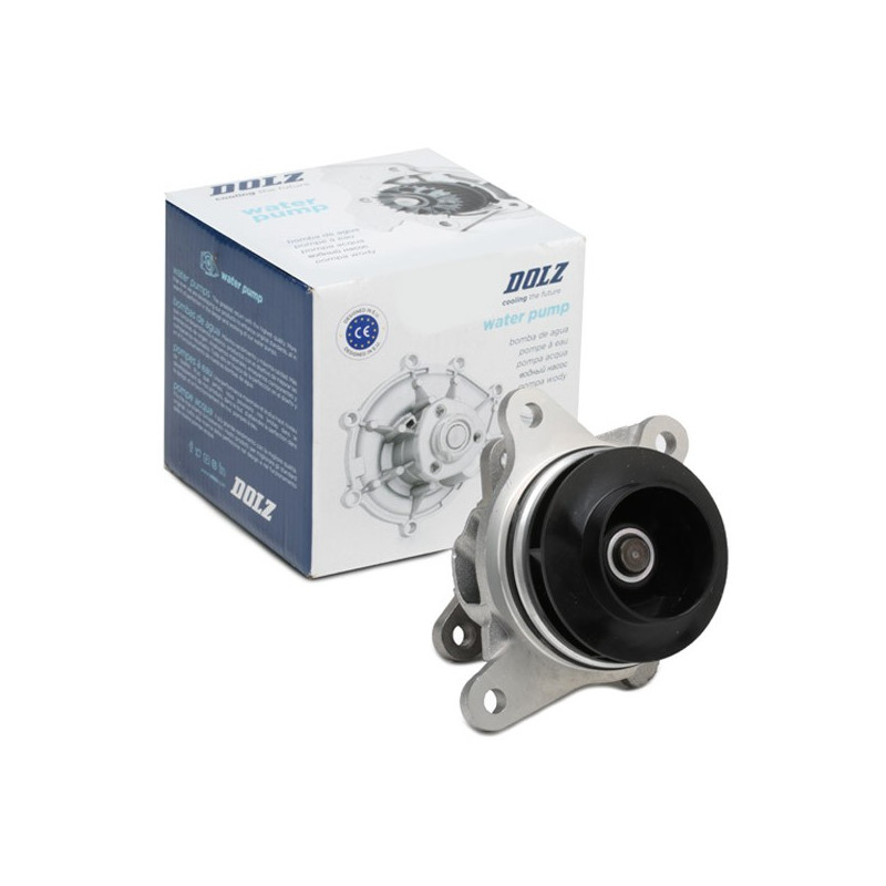 Pompe à eau Dolz R239