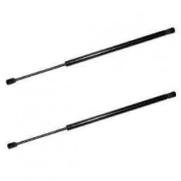 2 Verins de coffre Renault Espace 3