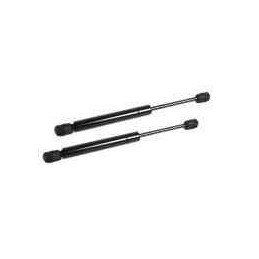 Lot de 2 verins de coffre pour Fiat 500 