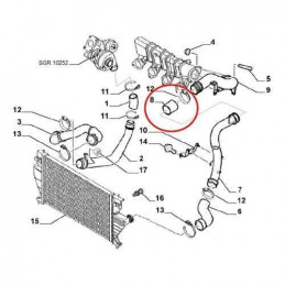 Manchon de durite de turbo Jumpy Evasion 806 Expert Ulysse Scudo 2.0 Hdi Jtd BF-818007