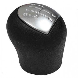 Pommeau levier de vitesse pour KANGOO DCI / D65 / CLIO 2 – Auto27