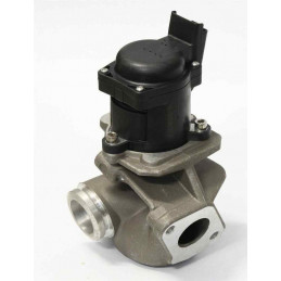 Vanne EGR CITROEN PEUGEOT FIAT FORD...