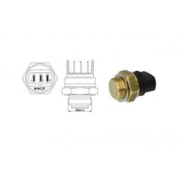 Sonde interrupteur radiateur