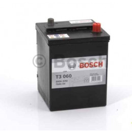 Batterie 6 Volt 70Ah 300A T3060