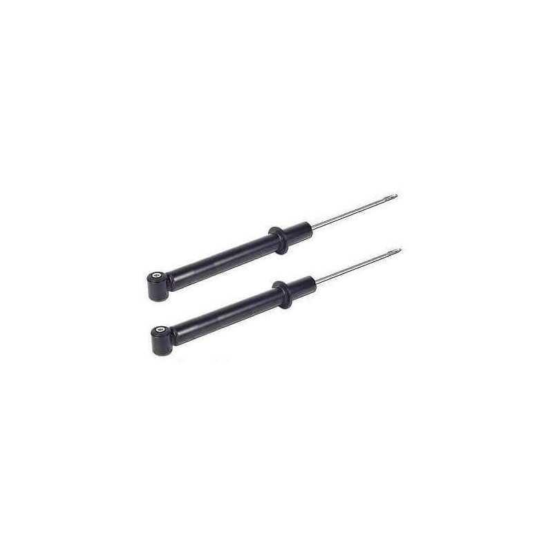 Amortisseurs arriere Ford Fiesta 6 Mazda 2 JGT1106T *2 Amortisseurs arriere Ford Fiesta 6 Mazda 2 JGT1106T *2