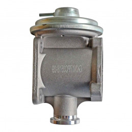 Vanne EGR pneumatique Bmw Serie 1 3 5 7 X5 EGR-BM-001