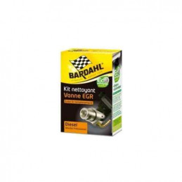 Kit Nettoyant vanne EGR véhicule diesel 9123