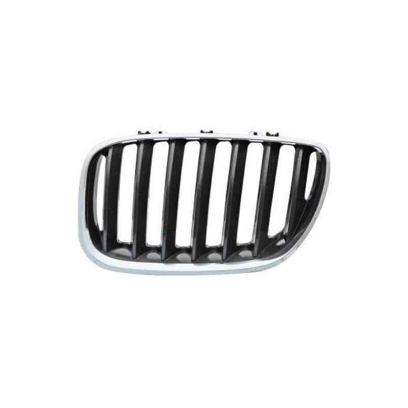 Grille Gauche de calandre Bmw X5 Chromee 1952004