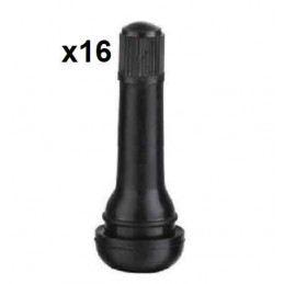 16 Valves de roue longue TR414L