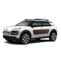 C4 Cactus