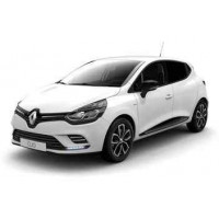  Renault Clio FEU ECLAIREUR DE PLAQUE CLIO LAGUNA 2 MEGANE MASTER 2 ESPACE 4 TWINGO 2 KANGOO LOGAN