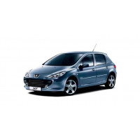  Peugeot 307 Silencieux arrière pour Peugeot 307 et Citroen C4