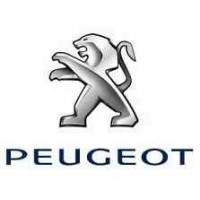  AILES Peugeot Aile avant gauche Citroen Berlingo 2 Peugeot Partner 2