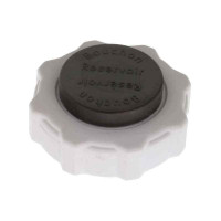  ACCESSOIRES, PRODUIT D'ENTRETIEN, SOUFFLETS, JOINTS Bouchon Bouchon de lave glace Clio 2 Espace 4 Kangoo Laguna Master Megane S