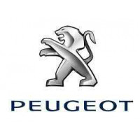  POIGNEE SERRURE BARILLET NEIMAN CLE Peugeot Bouchon de réservoir avec Clé